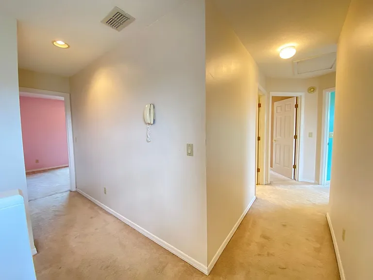 3708 Molona Dr — Photo 59