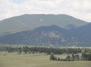 699 Jasper Way, Hartsel, CO 80449