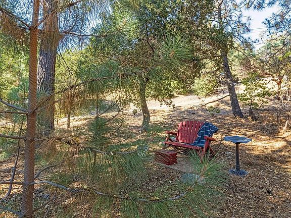 3rd image of 3221 Dolores Dr