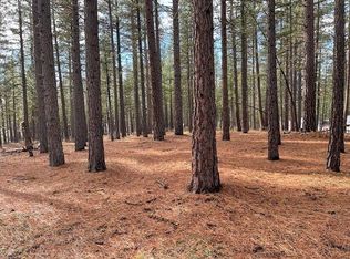 4955 Clio State 40a Rd, Delleker, CA