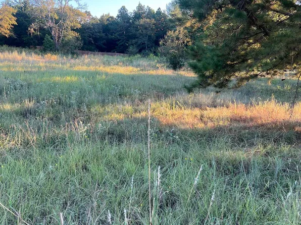 19661 Dove Ridge Dr, Lindale, TX 75771