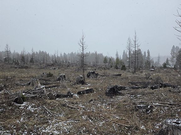 3rd image of Upper Fords Creek Rd