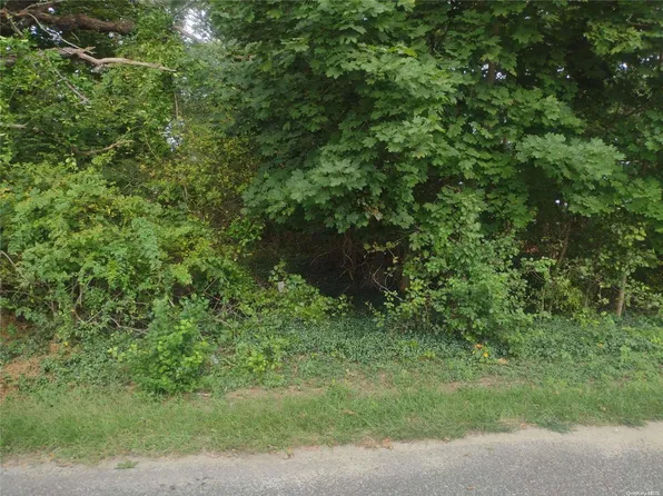 Pine Street, East Moriches, NY 11940