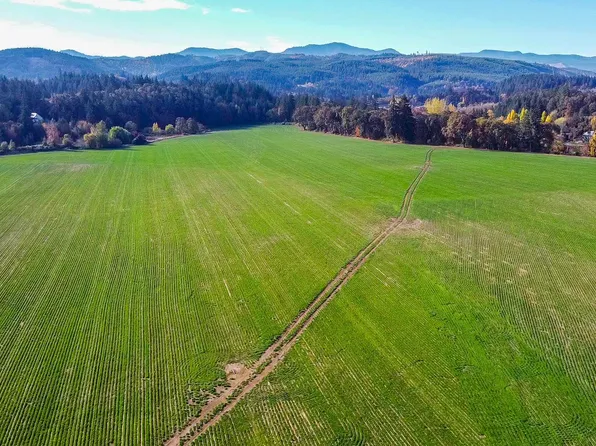 9375 Steel Bridge Rd, Sheridan, OR 97378