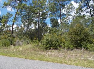 8568 N Feather Ave, Citrus Springs, FL 34433