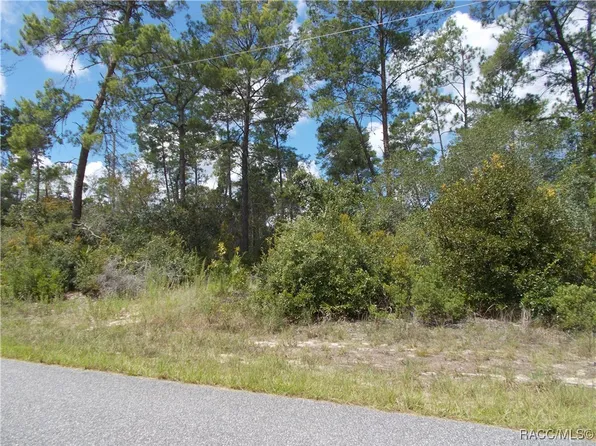 8568 N Feather Ave, Citrus Springs, FL 34433