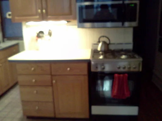 Rented by Frank Valvo Real Estate | media 9