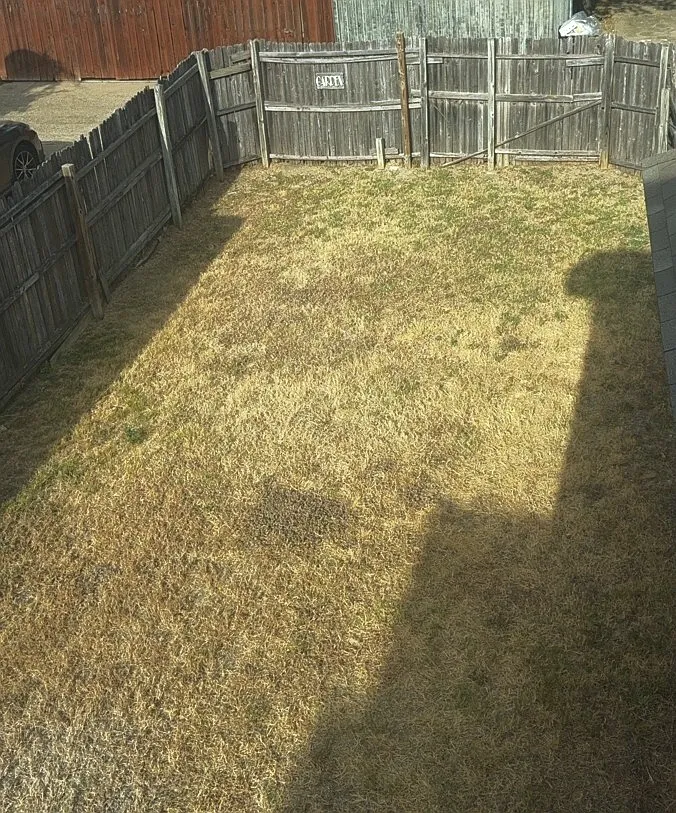 3 bed, 2.0 bath, 1440 sqft, $1,795 — Photo 2