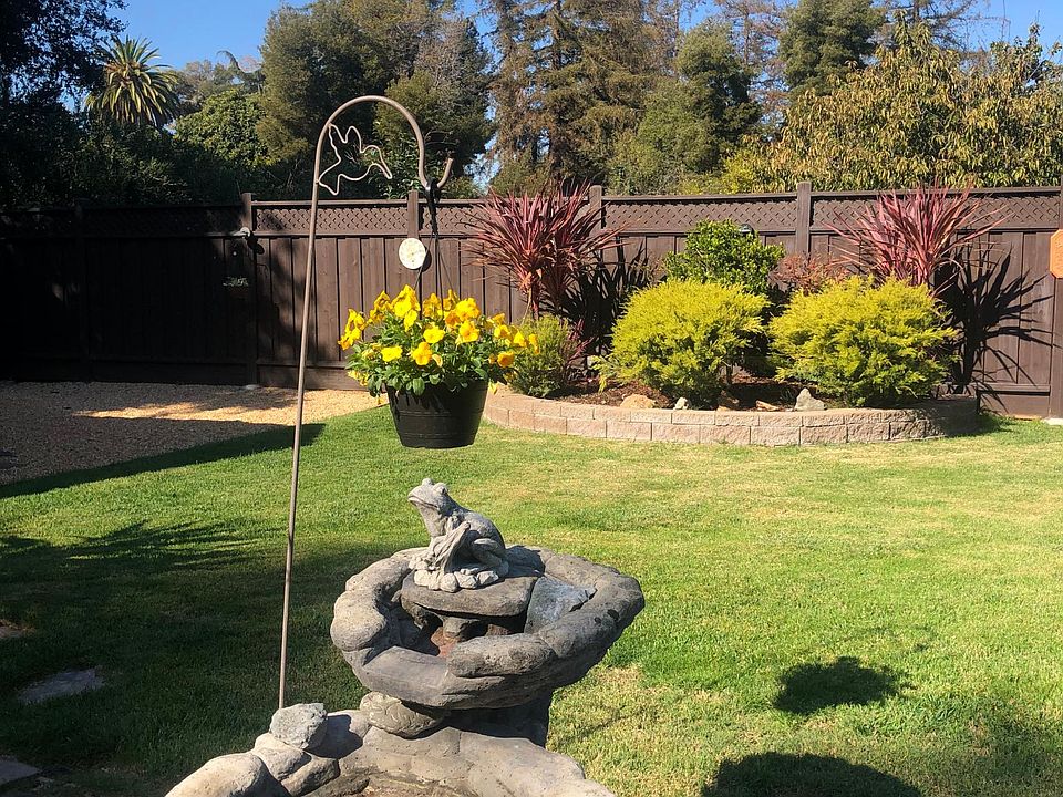 Backyard with tree-filled skyline.