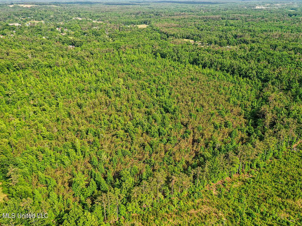 1st image of County Road 816