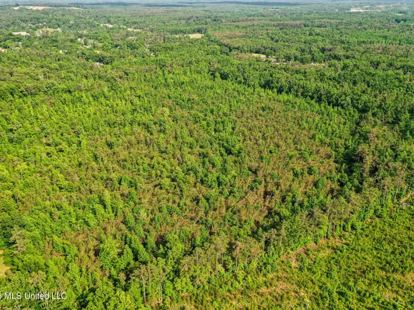 County Road 816, Blue Mountain, MS 38610