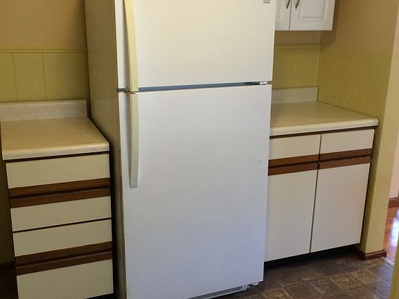 Kitchen refrigerator and cabinets