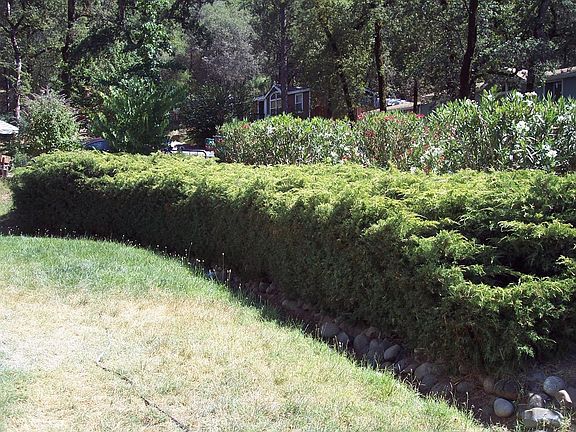 3rd image of 11091 Sierra Cir