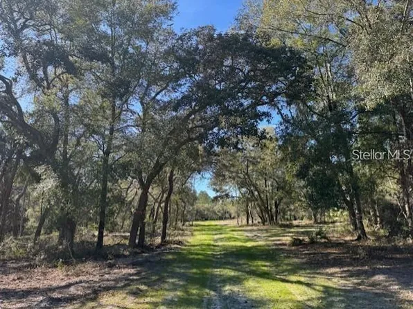 TBD NE 150TH AVE ROAD LOT 5, FORT MC COY, FL 32134