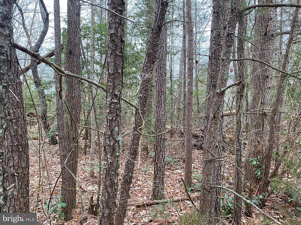 2nd image of 107 Canvasback Ln