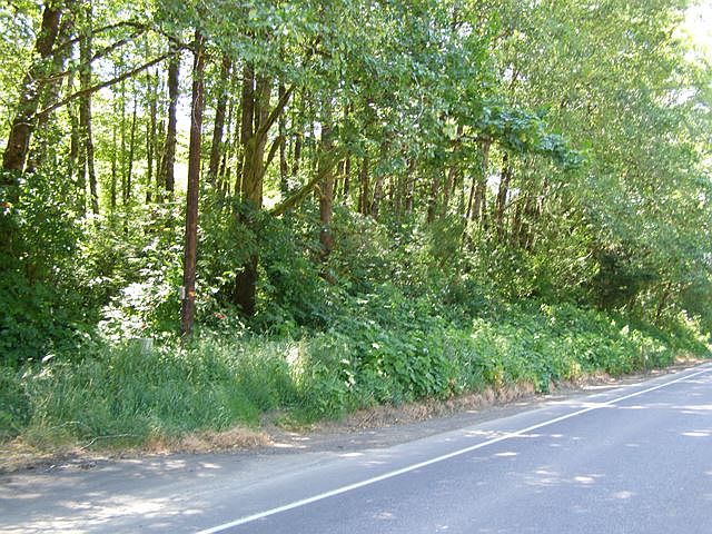1st image of Wilson River Hwy