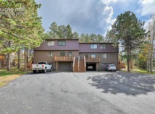590 Manor Ct APT B, Woodland Park, CO 80863