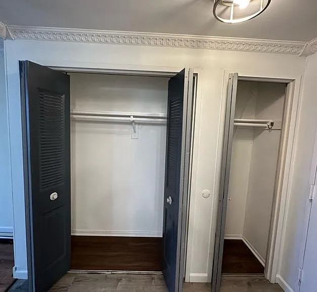 Entryway Closets