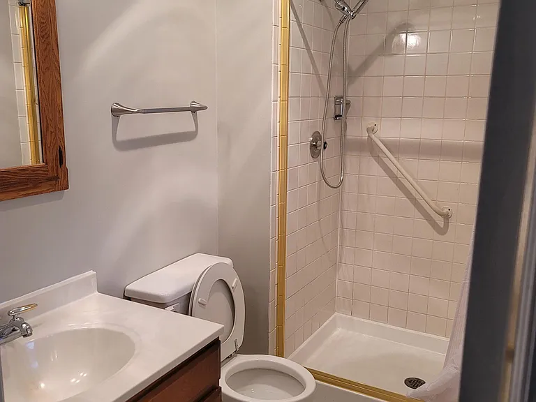 433 Green Tree Pkwy — Photo 7