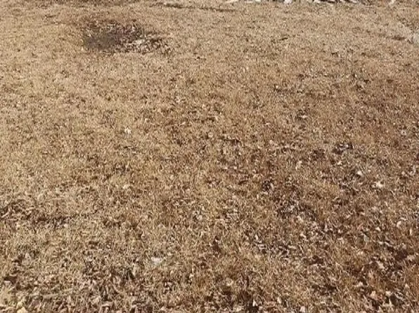 3185 N Trezevant St, Memphis, TN 38127