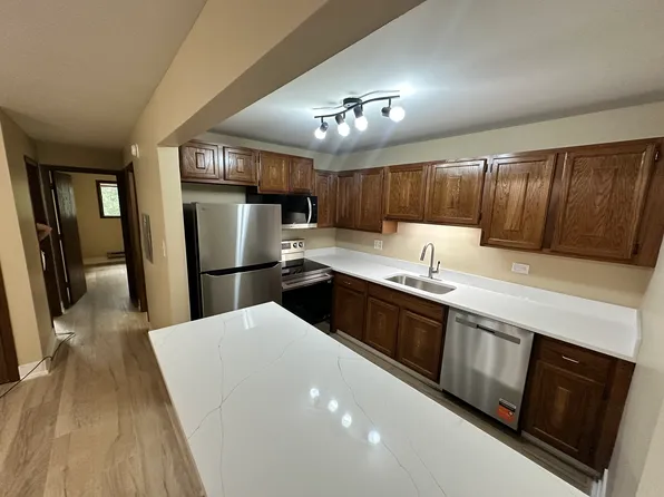 1856 N Goodwin Dr APT 1B, Palatine, IL 60074