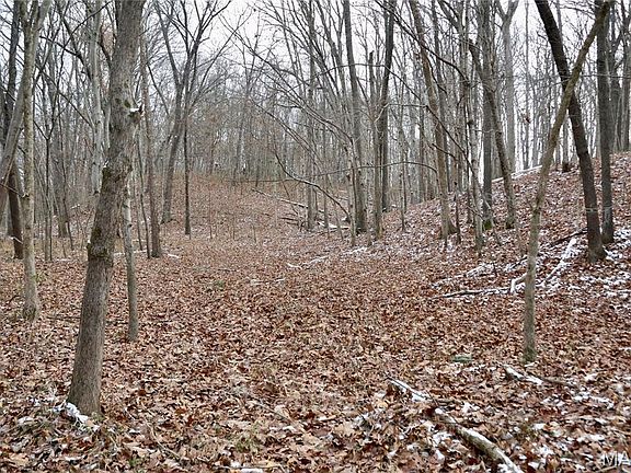 4th image of 0 N Maysville Ln