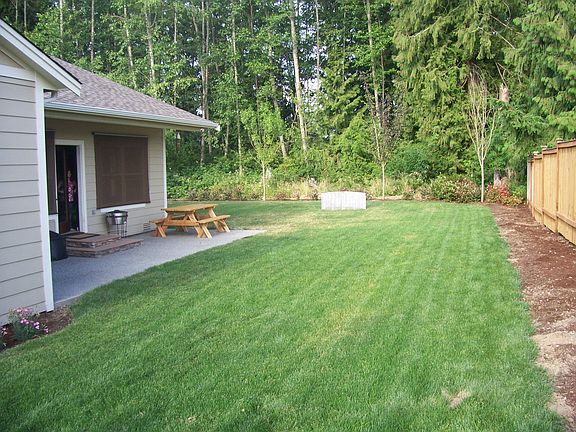 Back yard