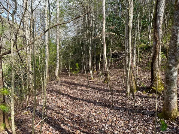 Harts Crossing Way, Del Rio, TN 37727