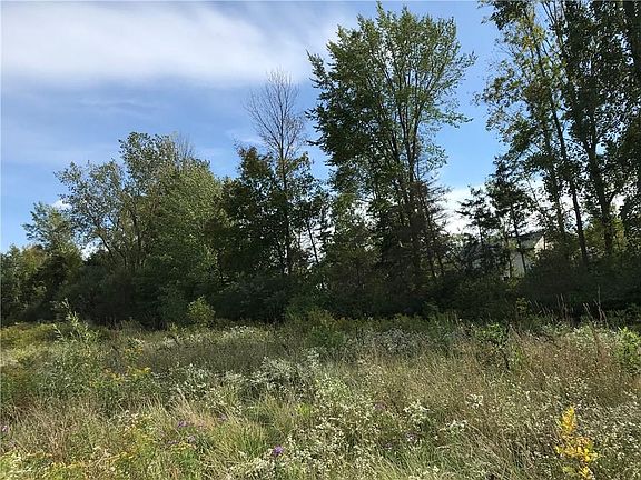 5th image of 16 Fawn Meadow Dr