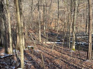 0 Glassworks Rd, Buckhannon, WV 26201