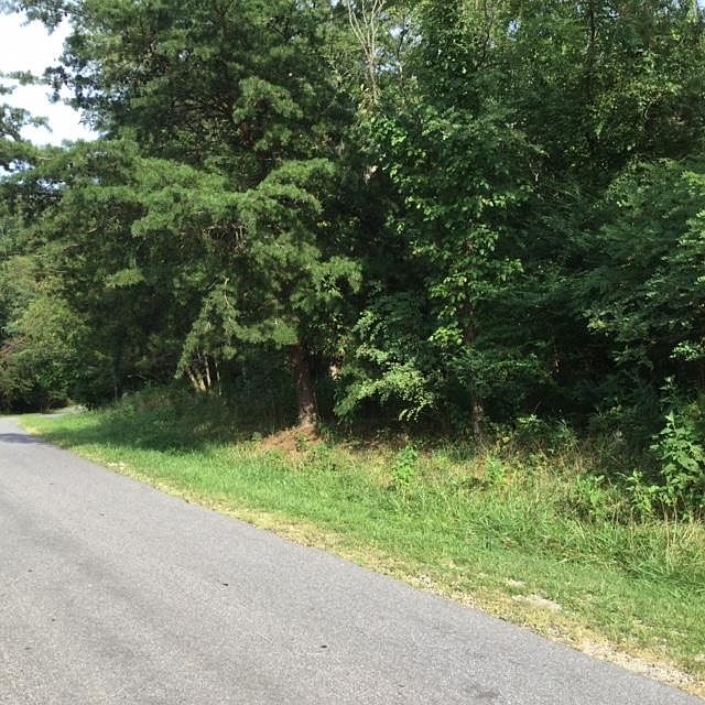 1st image of 97 Harbor Landing Dr