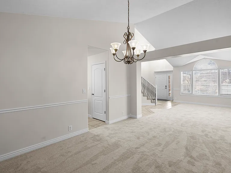 E Candle Spruce Cv — Photo 6