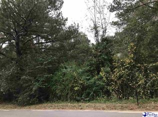 442 Darlington St, Timmonsville, SC 29161