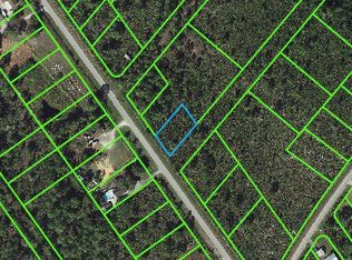 651 Washington Blvd, Lake Placid, FL 33852