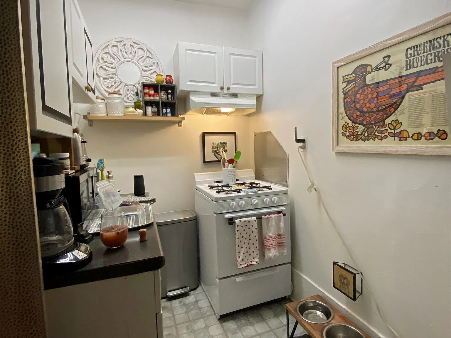 Studio, 350 sqft, $940 — Photo 3