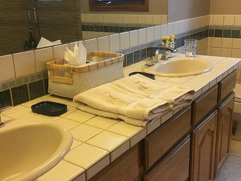 Primary en-suite bath