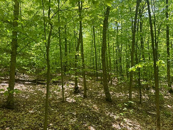 5th image of 1.4 Cobble Creek Rd #4