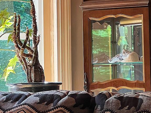 New bay window in Adirondack