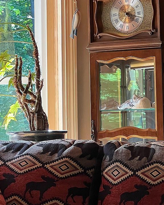 New bay window in Adirondack