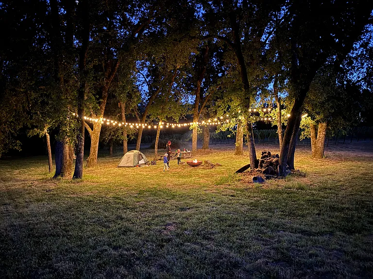 Camping down under the oaks
