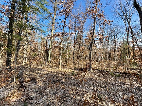 3rd image of 21210 Twelve Mile Rd