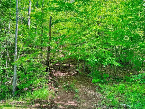 TRACT The Bear Blvd #Q, Tamassee, SC 29686