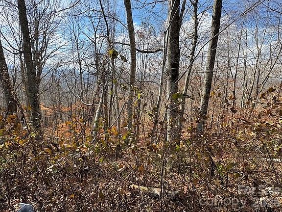 4th image of 50 Scenic Wolf Ridge Rd