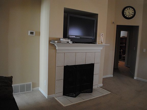 Fireplace & TV niche