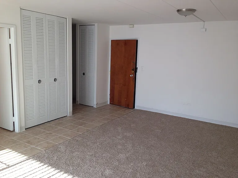 141 Green Bay Rd — Photo 8