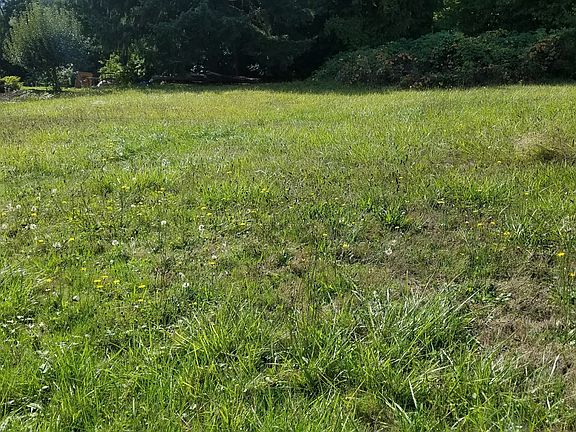 3rd image of 602 Aspen Ave