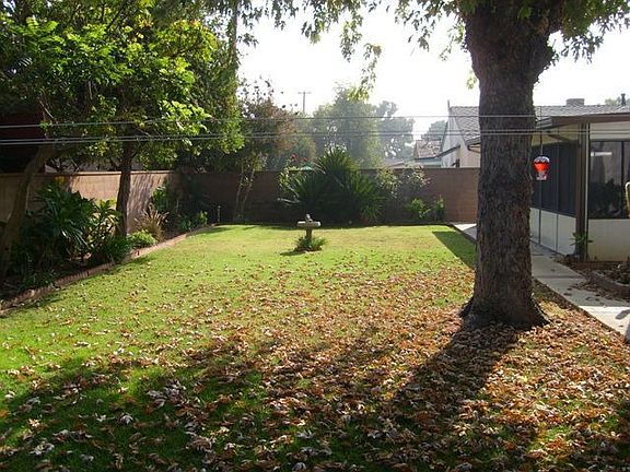 Large Back Yard