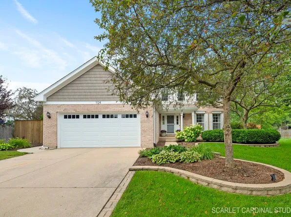 1124 Hannah Ct, Naperville, IL 60540