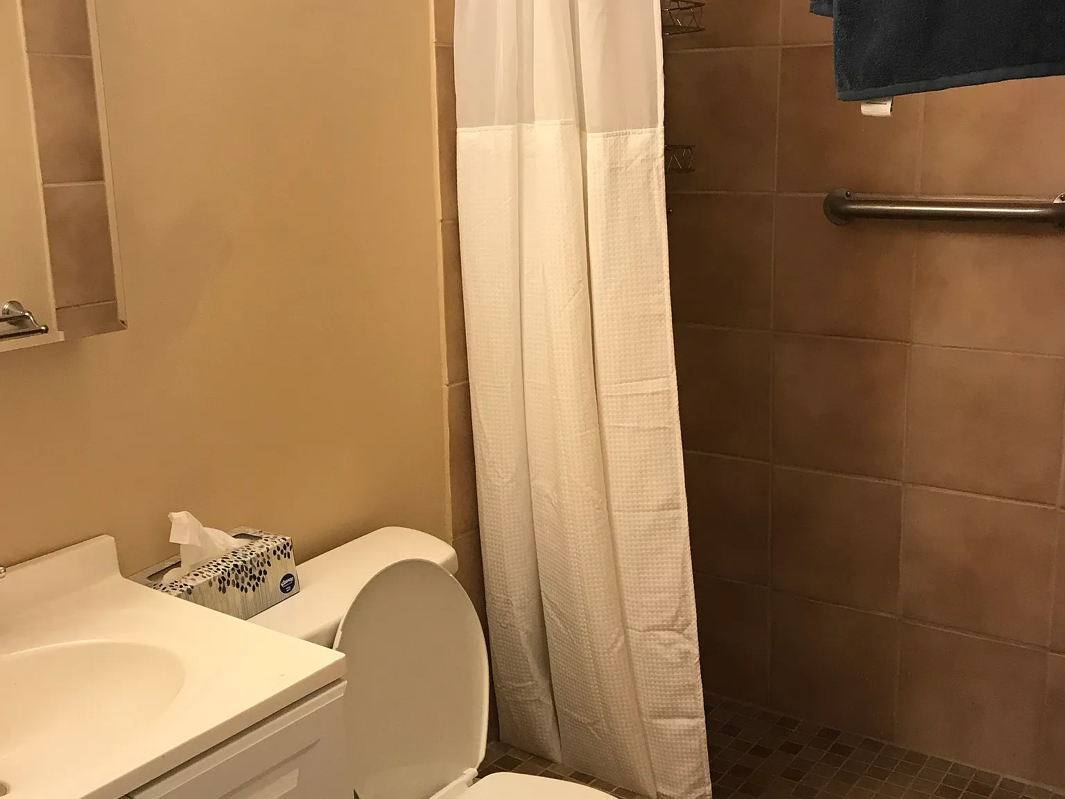 2 bed, 1000 sqft, $3,000 — Photo 3