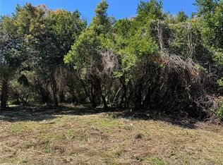 Beau Ct #6, Orange City, FL 32763